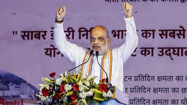 <div class="paragraphs"><p>Union Home Minister Amit Shah.</p></div>