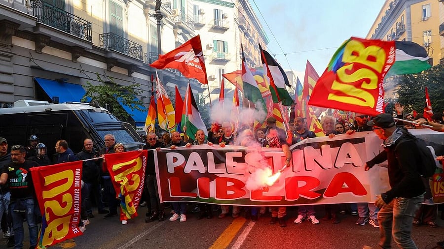 <div class="paragraphs"><p>Pro-Palestinian demonstrators march during a nationwide strike.</p></div>