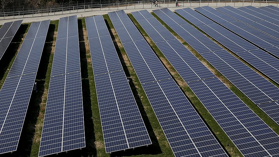 <div class="paragraphs"><p>Solar panels are seen at a solar power facility. Image for representative purposes.</p></div>