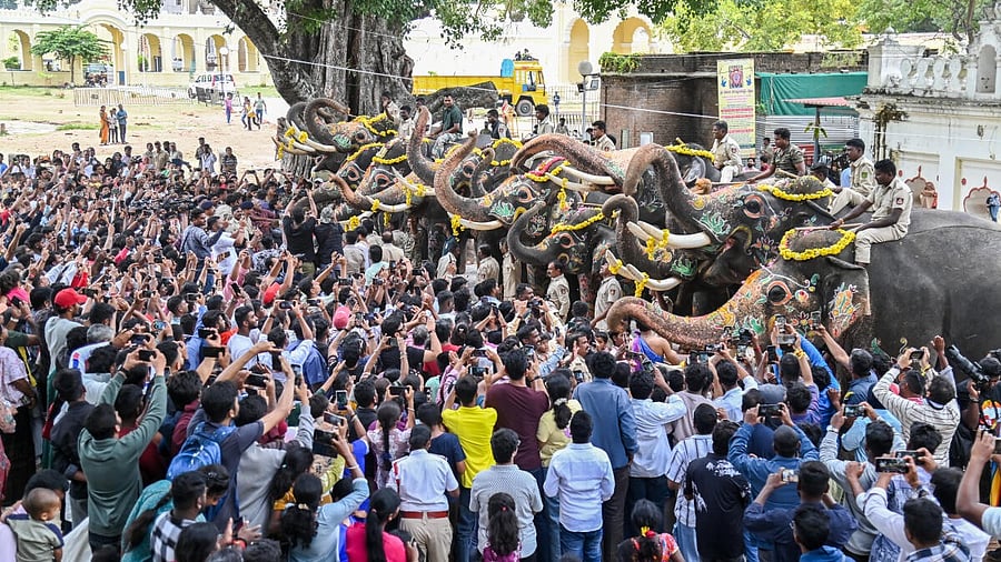 <div class="paragraphs"><p>Pooja offered to Dasara elephants during their Farewell at Palace premises on Sunday amid huge crowd. </p></div>