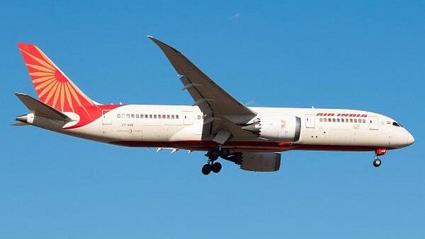 <div class="paragraphs"><p>Representative image of an Air India Boeing 787 aircraft.</p></div>