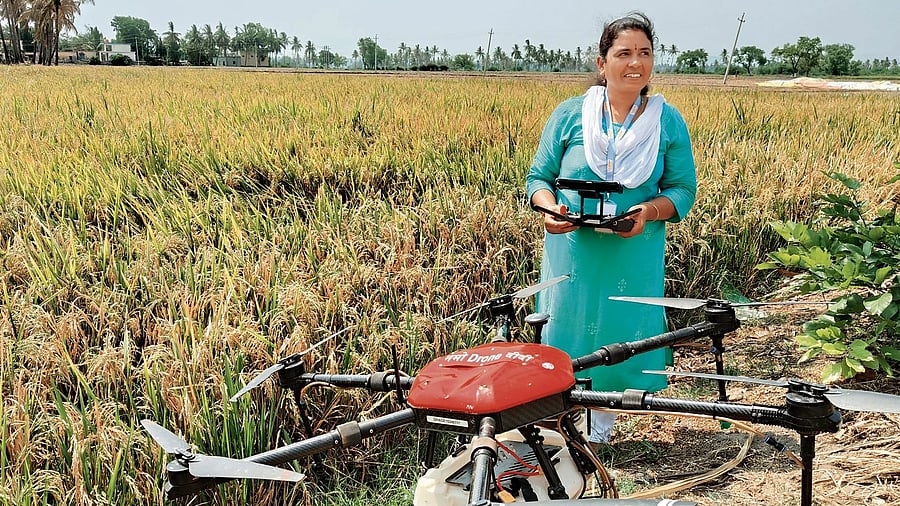 <div class="paragraphs"><p>Drone operators Mahadevi handles a drone to spray fertiliser in a paddy field in Koppal district. </p></div>