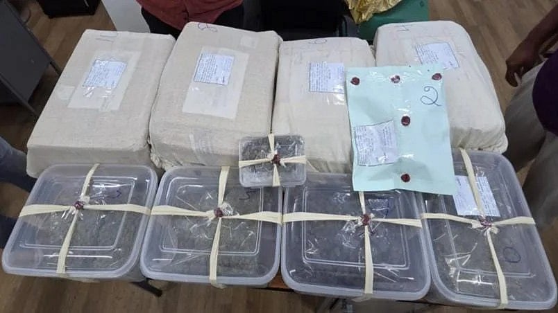 Hydroponic ganja seized at the Foreign Post Office in Bengaluru.