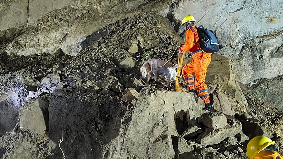 <div class="paragraphs"><p>Rescue operation underway after landslide hits a bus, killing at least 15 people, in Bilaspur, Himachal Pradesh.</p></div>