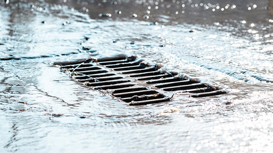 <div class="paragraphs"><p>Representative image of&nbsp;storm sewer</p></div>