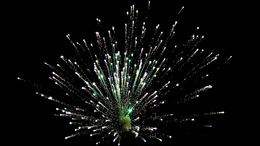 <div class="paragraphs"><p>A representative image of crackers.</p></div>