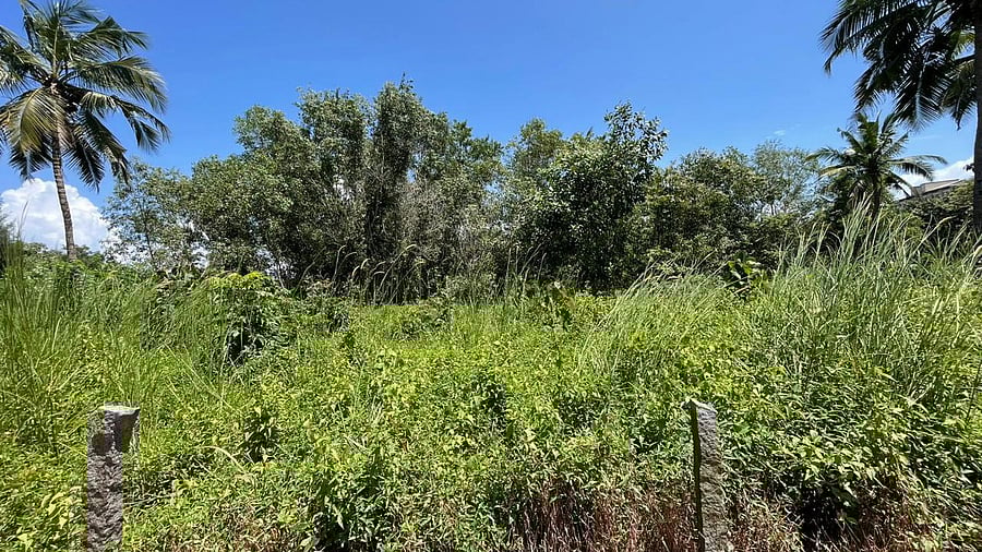<div class="paragraphs"><p>The proposed land at Blueberry Hills where Technology Park will come up on PPP mode. &nbsp;</p><p></p></div>