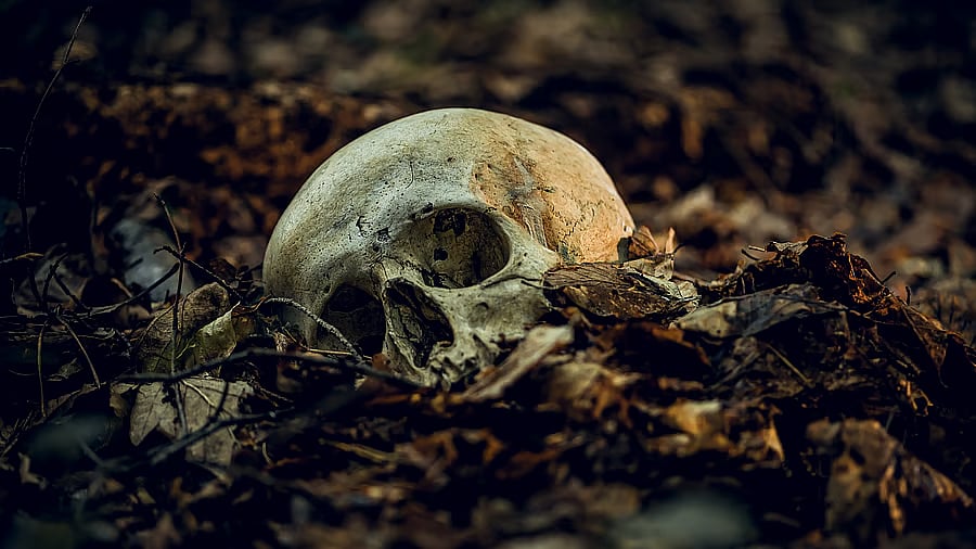 <div class="paragraphs"><p>Representative image showing a human skull.</p></div>