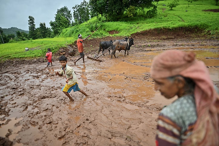 <div class="paragraphs"><p>A representative image of farmers ploughing agricultural land in rain-affected area.</p></div>