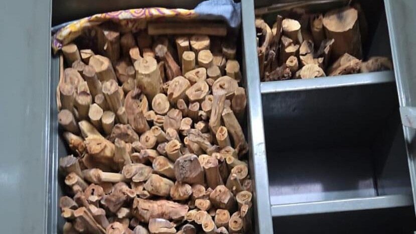 <div class="paragraphs"><p>100 kg of sandalwood seized from a house in Karnataka's Hanur</p></div>