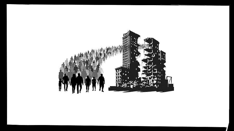 DH ILLUSTRATION