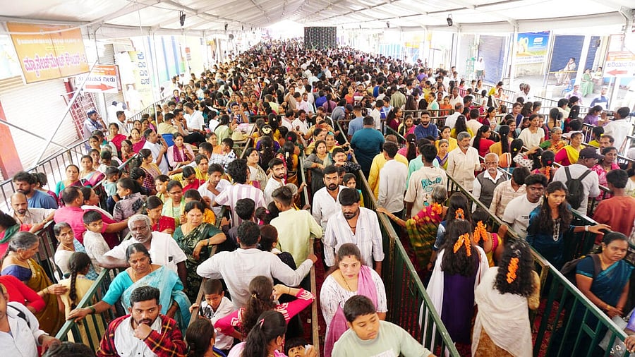 <div class="paragraphs"><p>3.5 lakh devotees have darshan of Hasanamba in three days</p></div>