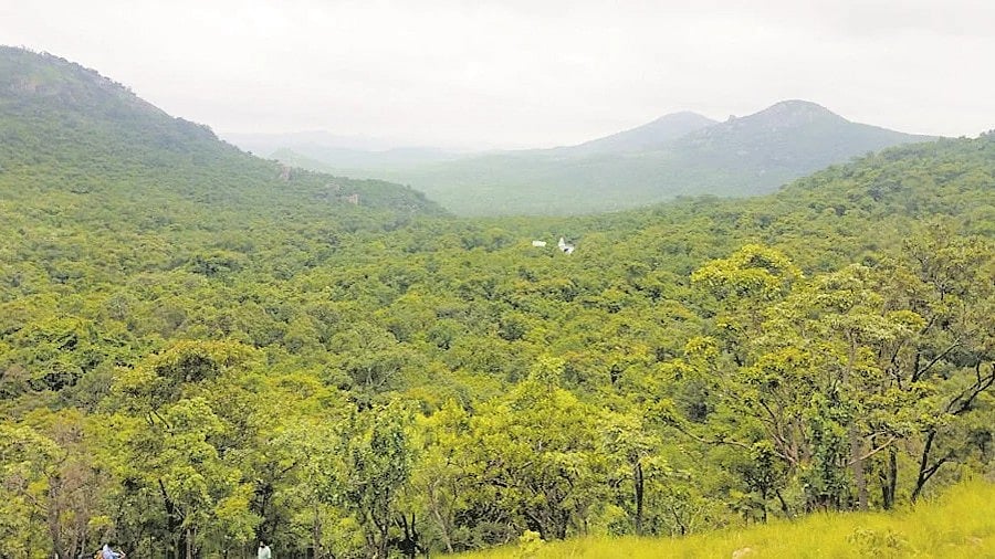 <div class="paragraphs"><p>A view of Devarayanadurga forest area in Tumakuru.</p></div>