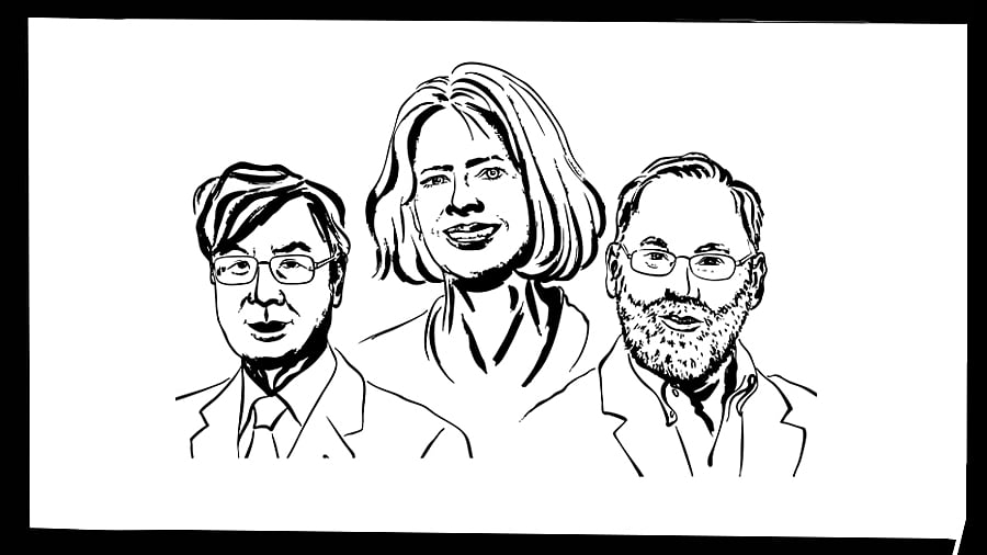 DH ILLUSTRATION