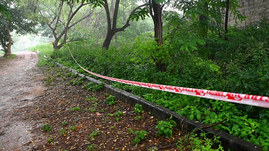 <div class="paragraphs"><p>A section of Lalbagh marked for the Greater Bengaluru Authority’s proposed tunnel road project. </p></div>