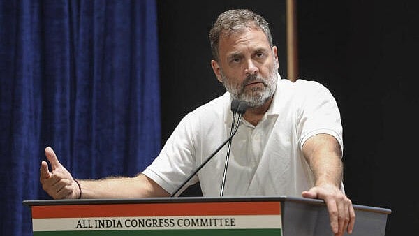 <div class="paragraphs"><p>Leader of Opposition in the Lok Sabha and Congress leader Rahul Gandhi.</p></div>
