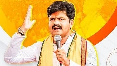<div class="paragraphs"><p>BJP MLA Gopichand Padalkar</p></div>