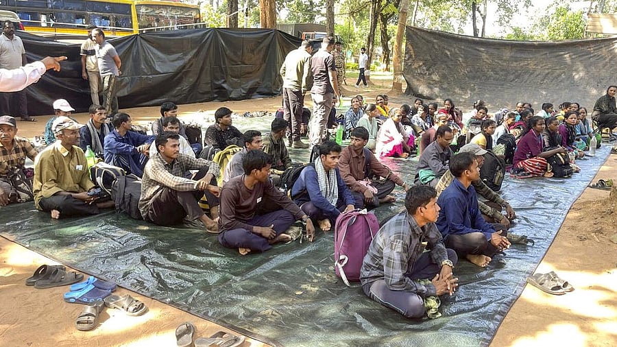 <div class="paragraphs"><p>Naxalites surrender at BSF camp in Chhattisgarh</p></div>