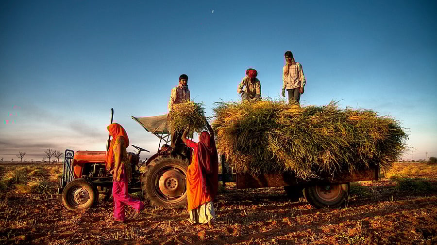 <div class="paragraphs"><p>Representative image for agriculture.</p></div>