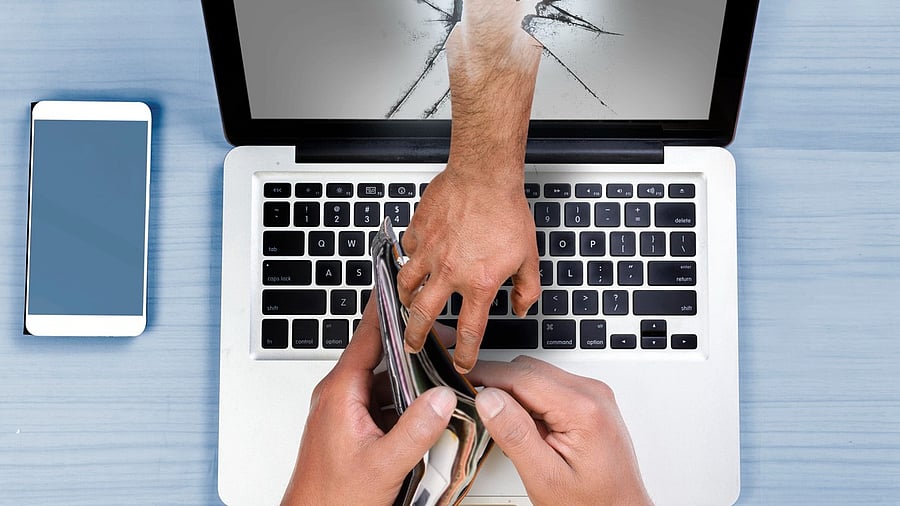 <div class="paragraphs"><p>A representative image.</p></div>