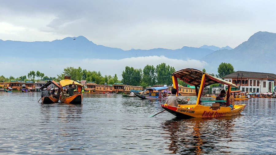 <div class="paragraphs"><p>'Startups are becoming the new language of hope in Kashmir'</p></div>