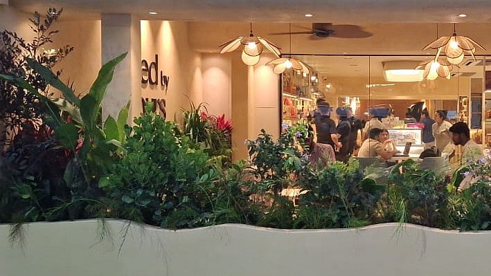 <div class="paragraphs"><p>This Indiranagar restaurant has been renting plants for over two years.</p></div>