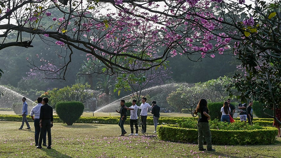 <div class="paragraphs"><p>Cubbon Park, Bengaluru’s iconic green space. </p></div>