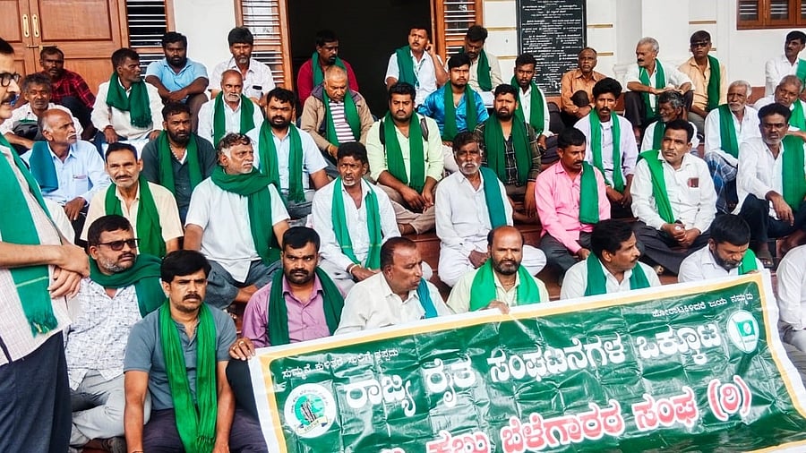 <div class="paragraphs"><p> 24 Kurubur Members of State Farmers' Organisations Federation and State Sugarcane Growers' Association stage a protest near the DC’s office, in Mysuru, on Friday. </p></div>