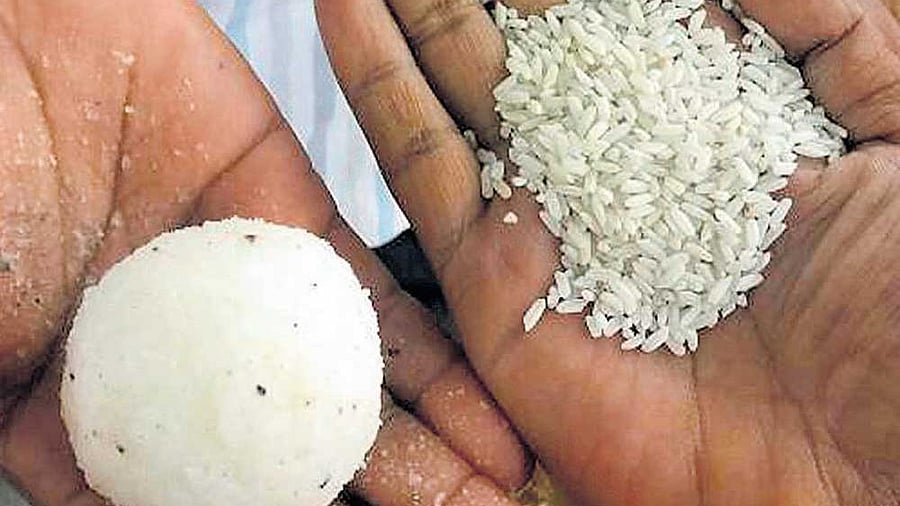 <div class="paragraphs"><p>A representative image of rice being distributed through Food Corporation of India under Anna Bhagya scheme.</p></div>