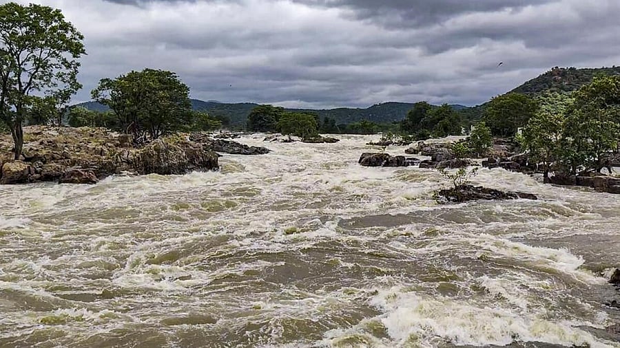 <div class="paragraphs"><p>The Cauvery river overflows following heavy rains, in Tamil Nadu.</p></div>