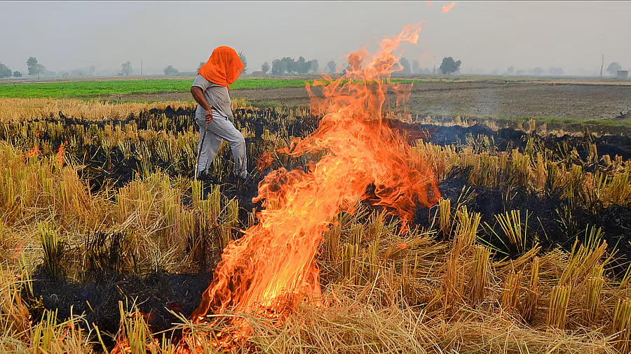 <div class="paragraphs"><p>The number of farm fires in the state has jumped by 537 from October 20, when the figure stood at 353.</p></div><div class="paragraphs"><p><br></p></div>