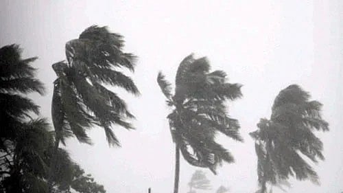<div class="paragraphs"><p>The Met Department forecast light thunderstorms accompanied by gusty winds with up to a speed of 40 kmph and moderate rainfall at a few places.</p></div>