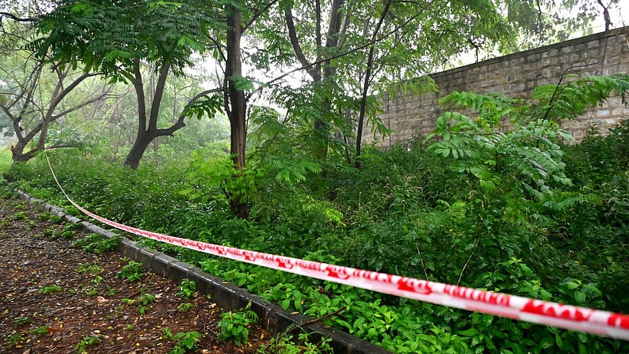 <div class="paragraphs"><p>Land inside Lalbagh marked with tape where Greater Bengaluru Authority plans to construct tunnel road in Bengaluru</p></div>