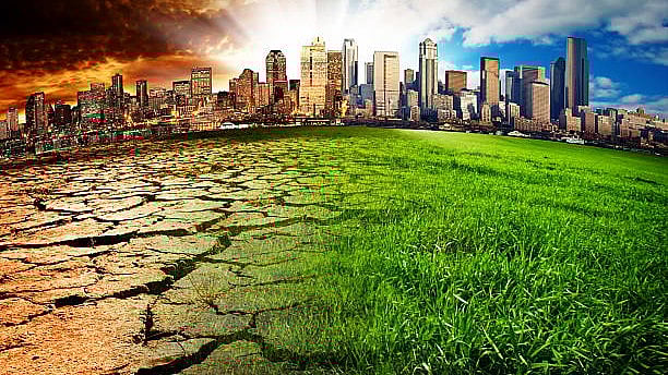 <div class="paragraphs"><p>Image for representational purposes.</p></div>