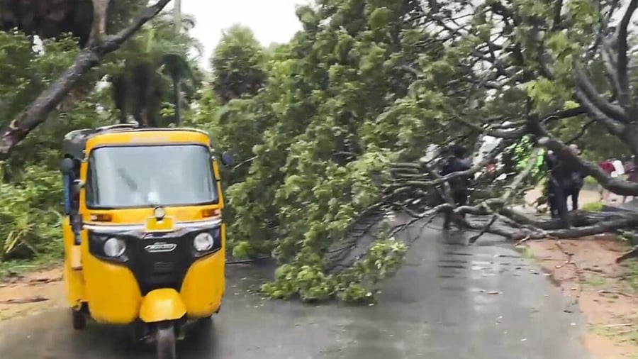 <div class="paragraphs"><p>A fallen tree blocks a road as Cyclone Montha lashes the city with heavy rain and 50-60 km/hr winds, in Machilipatnam, Andhra Pradesh, Tuesday, Oct. 28, 2025.</p></div>