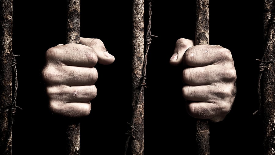 <div class="paragraphs"><p>A representational image.</p></div>