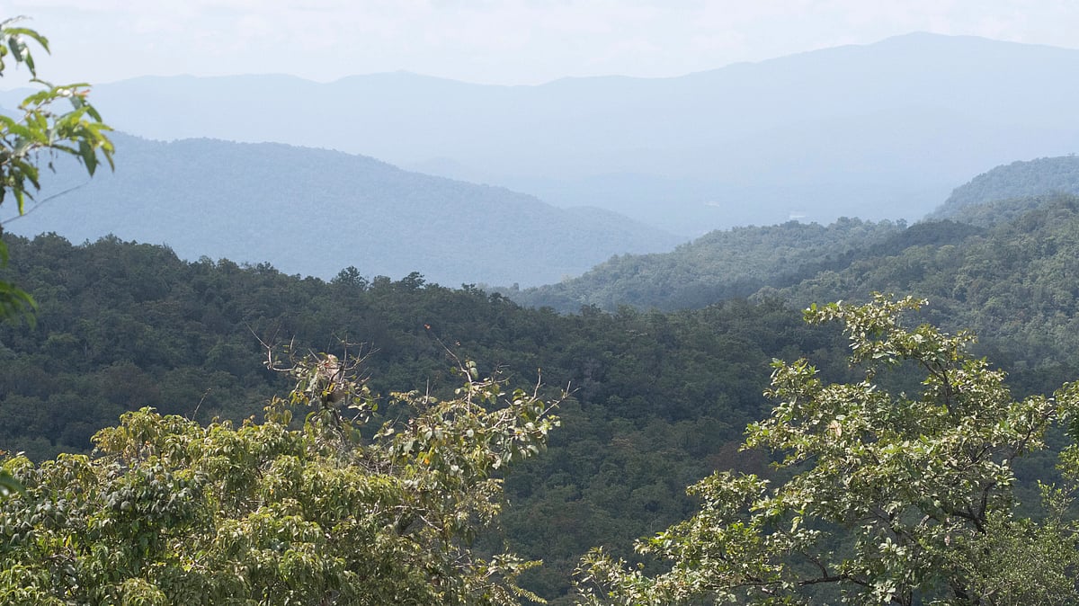Karnataka Temple Tourism Pollution Threatens Mookambika Wildlife Sanctuary