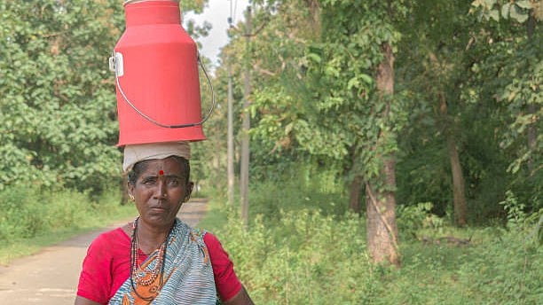 <div class="paragraphs"><p>Image for representational purposes.</p></div>