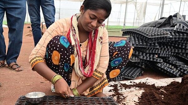 <div class="paragraphs"><p>Credit: Special arrangement</p></div>