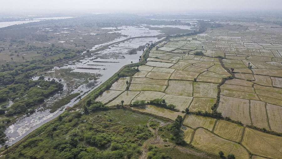 <div class="paragraphs"><p>Farmlands and waterbodies of Ekanapuram and nearby villages, including Parandur, the proposed site for construction of a new airport by the Tamil Nadu government, in Kanchipuram district, Tamil Nadu.</p></div>