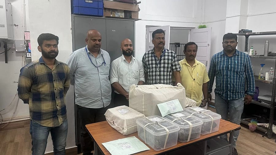 Earlier this month, CCB seized hydroganja worth Rs 3 crore from a post office in K G Nagar. PHOTO CREDIT: Bengaluru city police