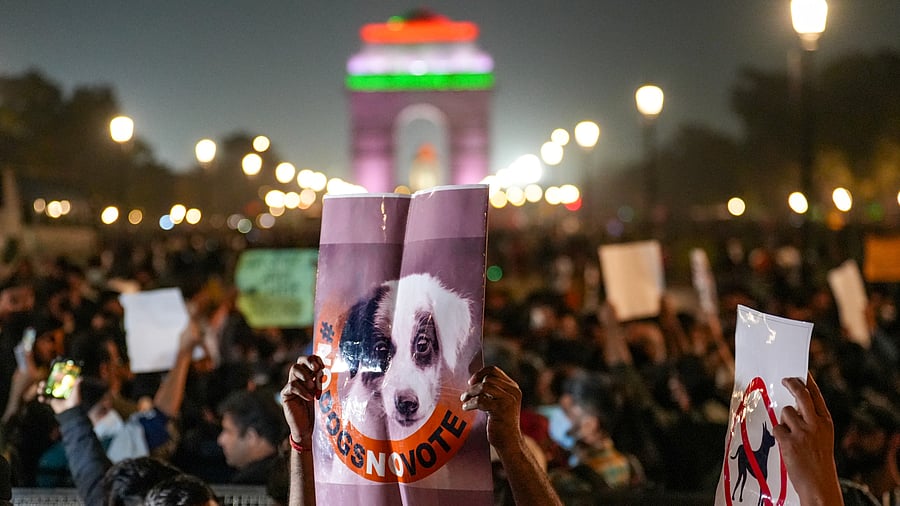 <div class="paragraphs"><p>Protest against poor air quality at India Gate in Delhi.</p></div>
