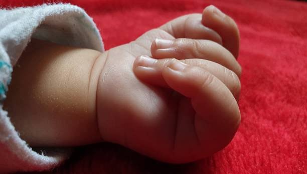 <div class="paragraphs"><p>One-day-old girl found abandoned near water body in Jharkhand's Palamu.</p></div>