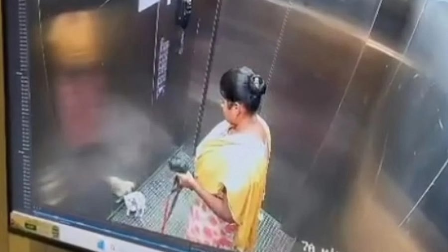 A screengrab from the CCTV footage of the domestic worker with the dog a few seconds before the alleged assault.