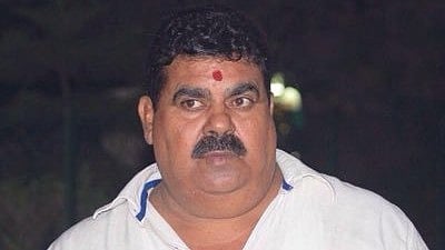 <div class="paragraphs"><p>Ashok Randhawa </p></div>