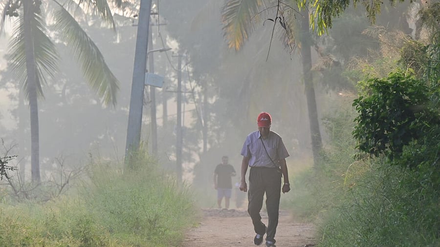 <div class="paragraphs"><p>A foggy morning sets a serene backdrop for early walkers at Hebbal in Bengaluru.</p></div>