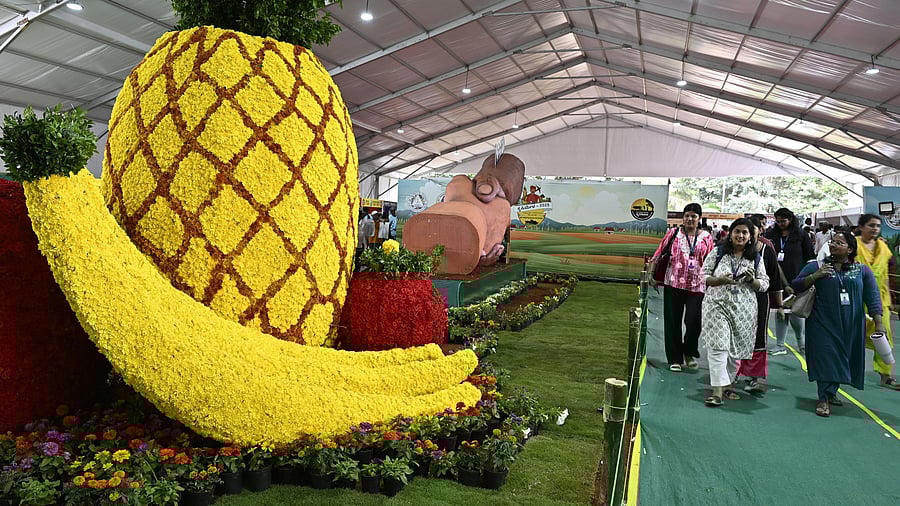 <div class="paragraphs"><p>Visitors take a look at a floral exhibit at Krishi Mela organised by the University of Agriculture Sciences at Gandhi Krishi Vigyan Kendra in Bengaluru on Thursday. </p></div>