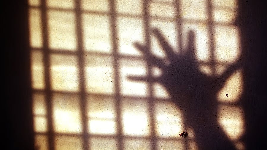 <div class="paragraphs"><p>Image for representational purposes.</p></div>