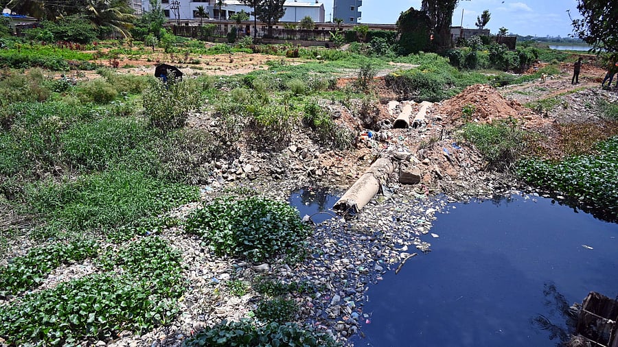 The BDA, the nodal agency, said desilting is the biggest challenge in rejuvenating the 890-acre lake. DH FILE PHOTO