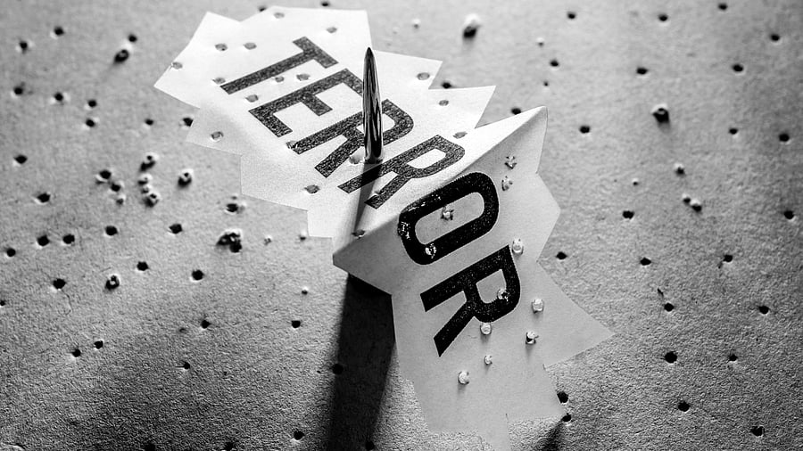 <div class="paragraphs"><p>A representative image.</p></div>